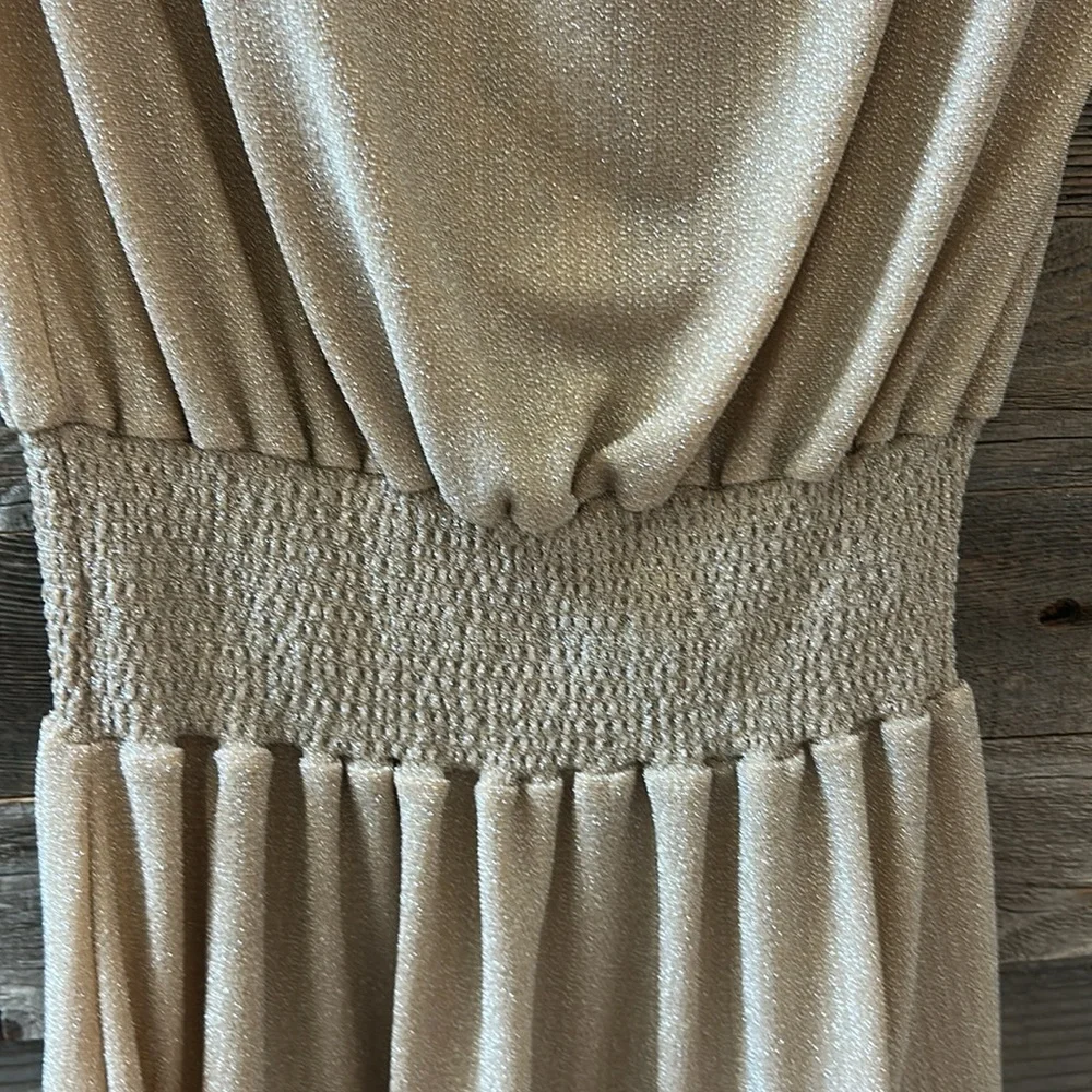 NWT Ramy Brook Knit Marina Dress Neutral Sparkle Strapless Size Small - Picture 6 of 12